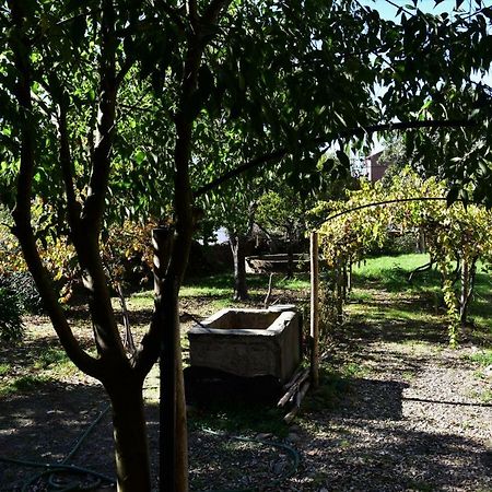 הוילה אידאהה אה נובה Casa Dona Amelia מראה חיצוני תמונה